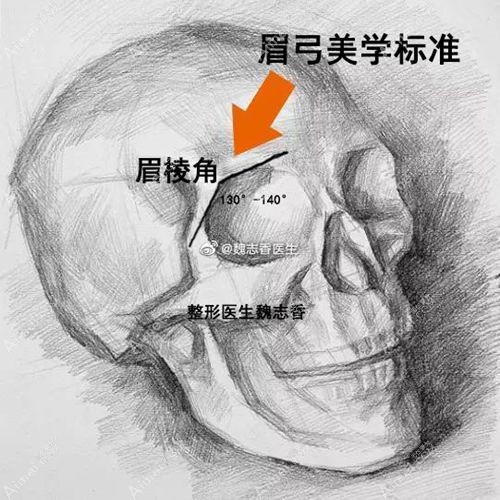 魏志香医生手绘眉弓整形美学素描图.jpg