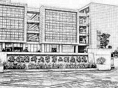 安徽医科大学第二附属医院(安医二附院)整形科