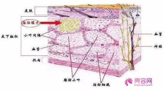 天津维美医院怎么样？整形价格表2021新版与靠谱整形医生名单