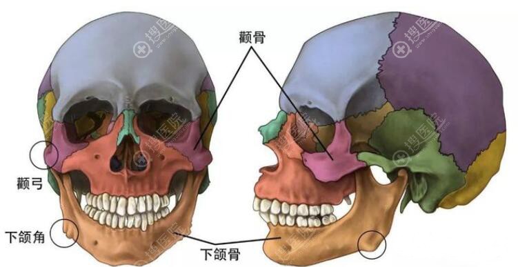 颧骨颧弓降低一起做需要多少钱