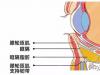 疫情期间经常熬夜是会形成真正的眼袋哦