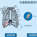韩国普罗菲耳整形医院讲耳再造材料人工支架与自体肋软骨区别