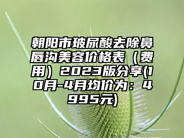 朝阳市玻尿酸去除鼻唇沟美容价格表（费用）2023版分享(10月-4月均价为：4995元)