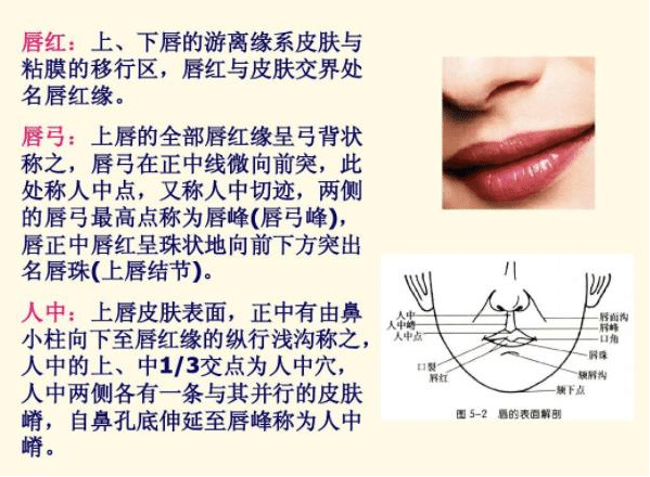 唇红缘需要修复的类型是哪些?唇红缘整复术的优点