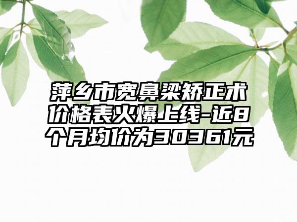 萍乡市宽鼻梁矫正术价格表火爆上线-近8个月均价为30361元